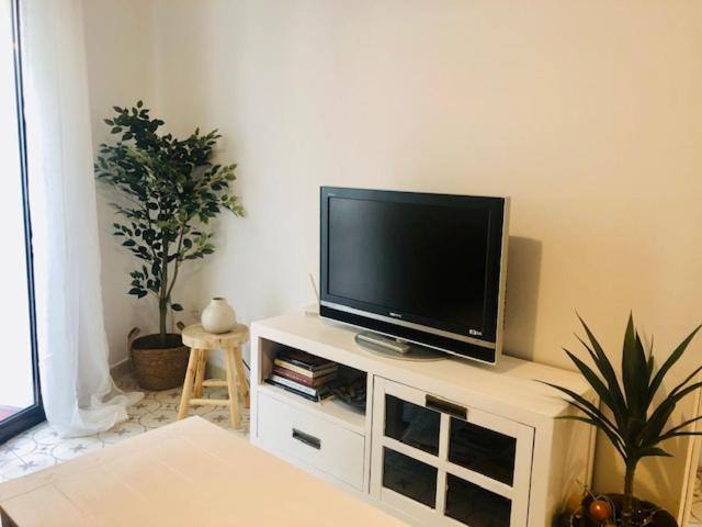 Appartement Precioso Piso En El Centro Neuralgico De Olot Extérieur photo